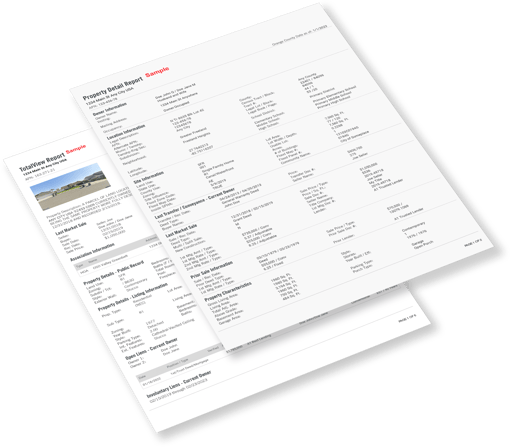 TotalView and Property Detail Report Sample Screenshot