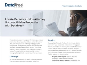 data-tree-for-legal-professionals-detective